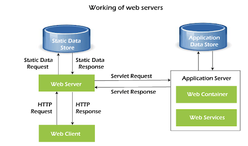 &quot;Working of Web Servers&quot;